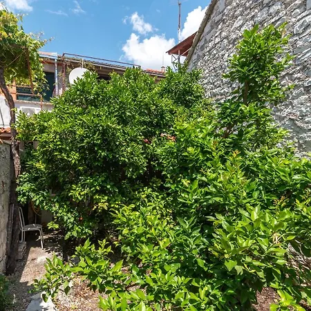 Ferienhaus House Polus *