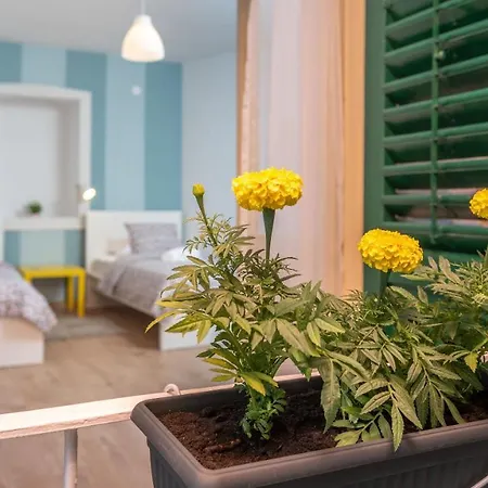 Будинок відпочинку House Polus