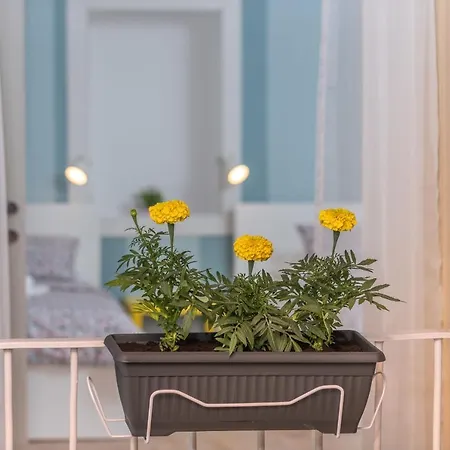 בית נופש House Polus *